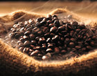 arabica fika International Coffee Organizatio Jaka kawa jest najdroższa Jerzy Franciszek Kulczycki Kawa kawiarnia Kopi Luwak najdroższa kawa Robusta Wiedeń 