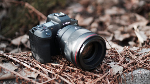 Canon EOS R/fot. fotoManiaK.pl