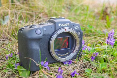 Canon EOS RP/fot. fotoManiaK.pl