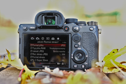 Sony A7R IV/fot. fotoManiaK.pl