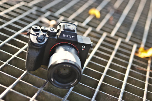 Sony A7R IV/fot. fotoManiaK.pl