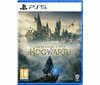 Hogwarts Legacy (PS5)