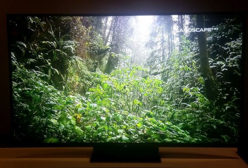 Sony KD-65ZD9 / fot. tvManiaK